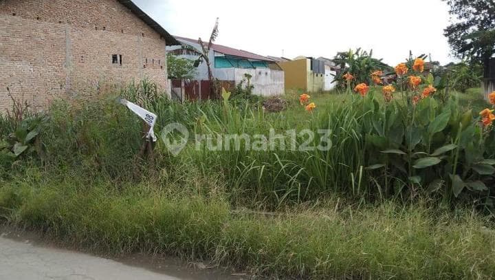Dijual Murah Tanah Di Marelan Medan Sumatera Utara