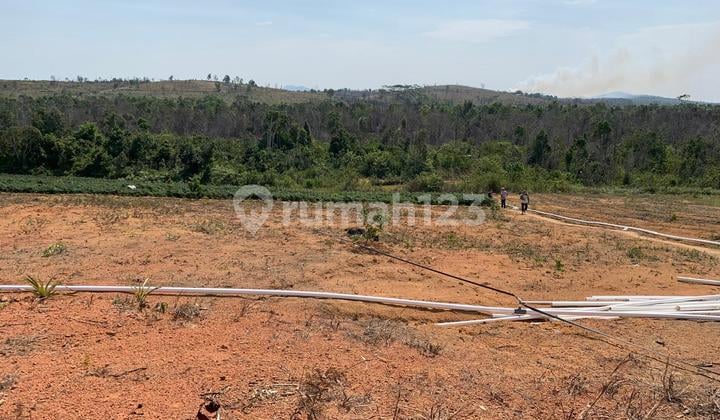 Cheap Land 15 Hectares in East Bintan Riau, Suitable for Plantation, Agriculture, Fisheries