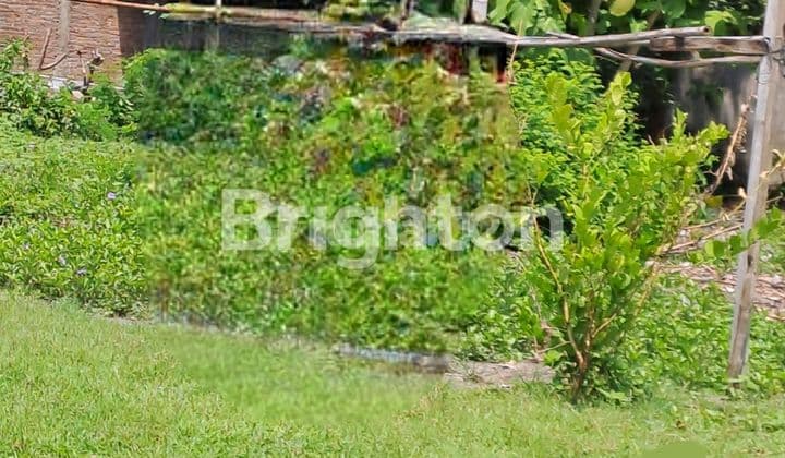 LAND ON THE ROADSIDE NEAR THE SAMI RUKUN AND GRIYA MULIA TAMA PLESUNGAN HOUSING ESTATES.