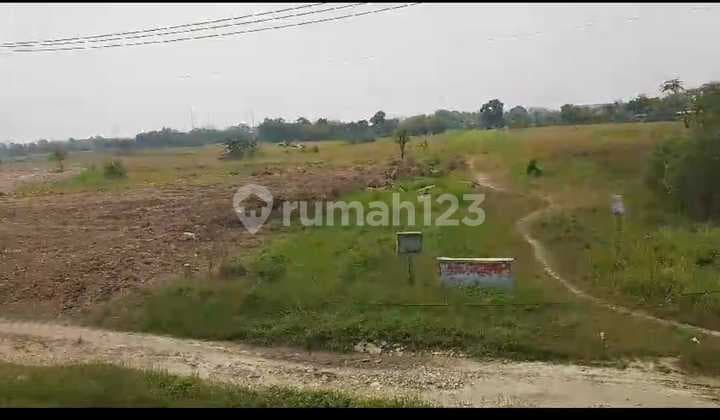 3Km dari Tol Ciujung Tanah Peruntukan Industri atau Pergudangan