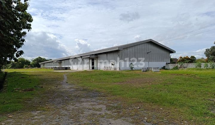 Gudang Cikande Rangkas Bitung Serang Siap Pakai Ada Mess