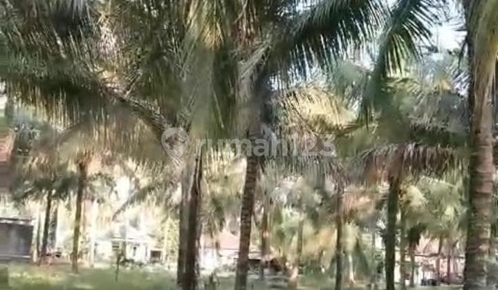 Tanah Di Pesisir Barat Lampung Cocok Utk Bangun Villa Atau Hotel