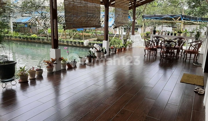 Cheap Villa Land Calculation Ready Koi Farm Fertile Land