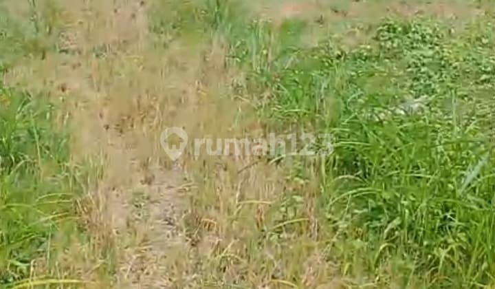 Ex Gudang Bawang Dekat Exit Tol Pejagan Brebes Jateng