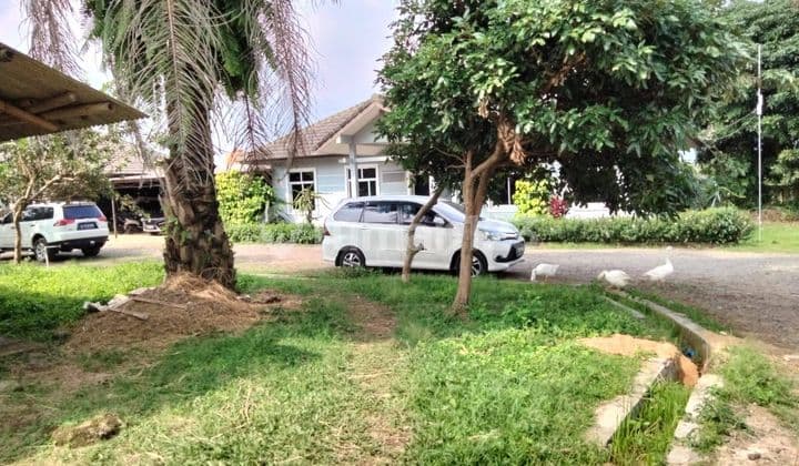 Dijual Lahan Ex Peternakan Sapi Incl Bangunan