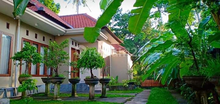 Hot List Di Jual Guesthouse Semi Villa Lokasi Kemenuh Gianyar