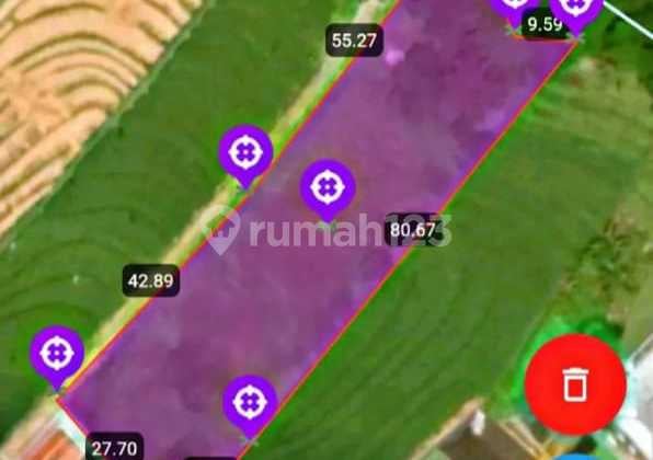 TOP URGENT LAND FOR SALE RIVER VIEW & FIELD VIEW LOCATION PADANG LINJONG CANGGU KUTA UTARA BADUNG
