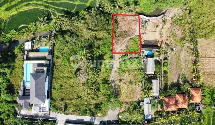 Hot List for Sale of Land with River Rice Field View, Mas Ubud Gianyar Location