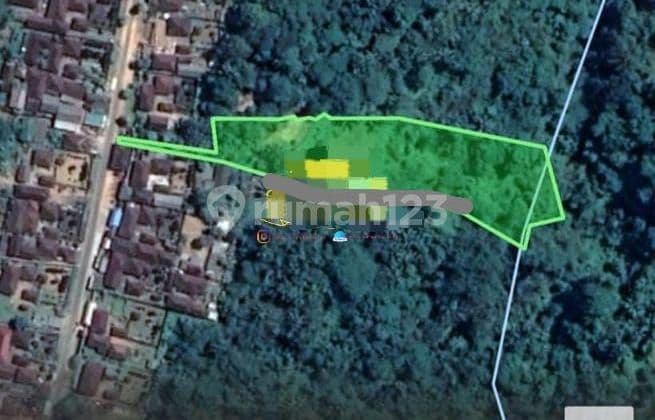 HOT LIST TERMURAH DI KELASNYA DI JUAL TANAH LOKASI KEDISAN TEGALLALANG UBUD GIANYAR