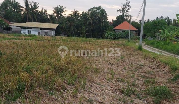 HOT LIST TERMURAH DI KELASNYA DI JUAL TANAH LOKASI KEMENUH UBUD GIANYAR