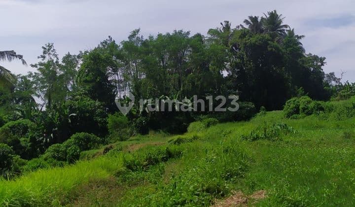 TOP URGENT DI JUAL TANAH VIEW HUTAN LOKASI BLUMBUNGAN ABIANSEMAL BADUNG