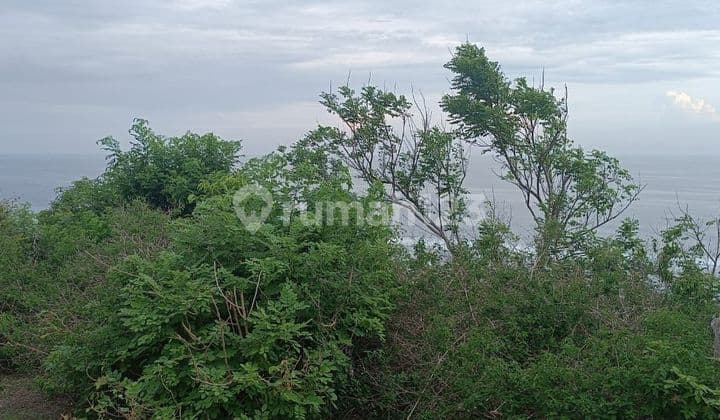 TOP URGENT LAND FOR SALE LOSS TEBING SEA VIEW LOCATION NUSA DUA KUTA SELATAN BADUNG