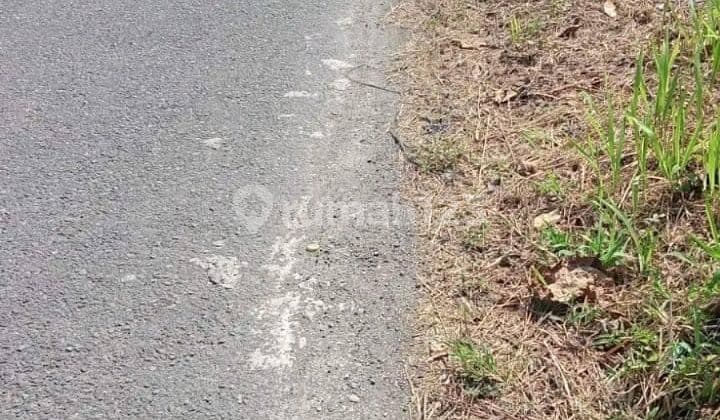 TOP DEAL DI JUAL TANAH LOKASI PERERENAN BABADAN CANGGU KUTA UTARA BADUNG