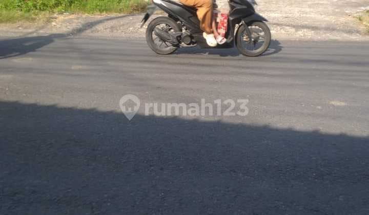 Pasti Deal Di Jual Tanah Pinggir Jalan Utama Lokasi Tangkuban Perahu Denpasar Barat Bali