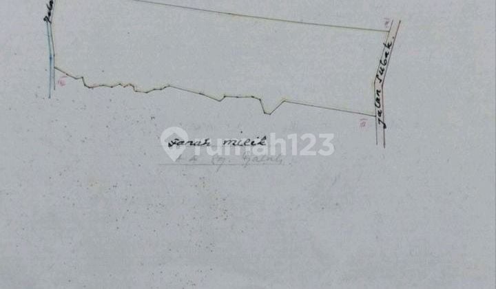 Di Jual Tanah Lokasi Kaba Kaba Kediri Tabanan Baliluas Tanah 3000 M²