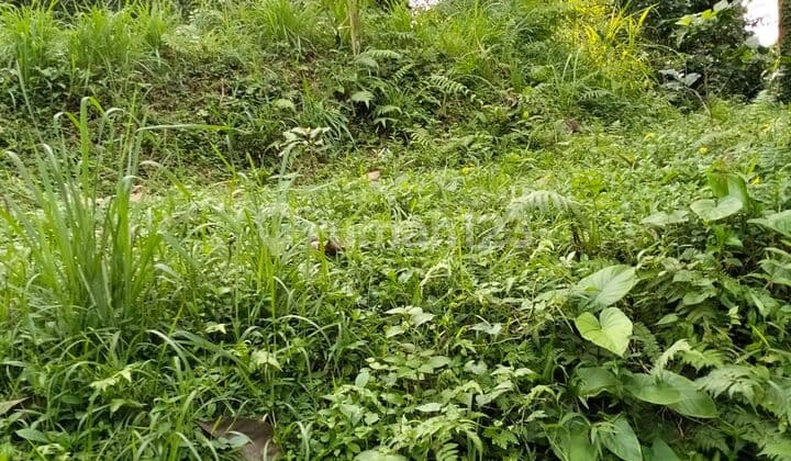 PASTI CLOSING DI JUAL TANAH VIEW SAWAH LOKASI SIDEMEN KARANGASEM