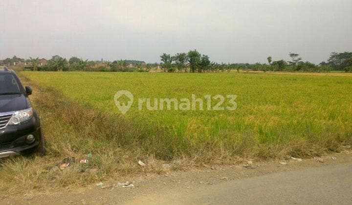 Tanah Sawah Luas di Sapan Gedebage Bandung