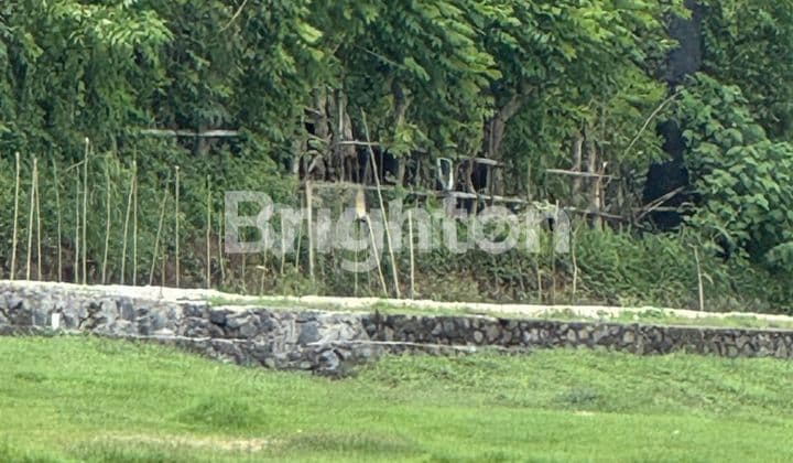 Tanah Kavling Sunrise View 200 Meter Beach Front Pantai Saba