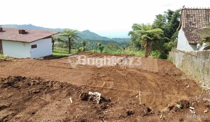 TANAH HOOK VIEW SPEKTAKULER TEPAT PINGGIR JALAN WANAGIRI BEDUGUL