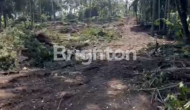 Kavling Impian Di Saba Gianyar View Jungle, Sungai & Sawah