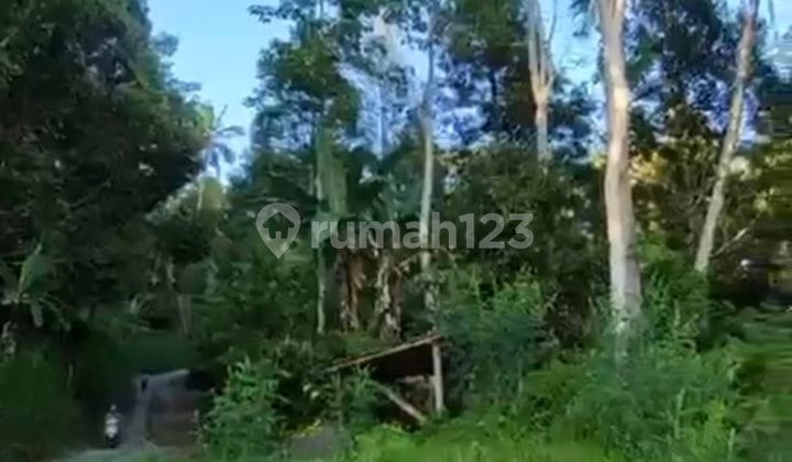 Tanah 40 Are di Muncan, View Gn Agung, Sungai & Sawah