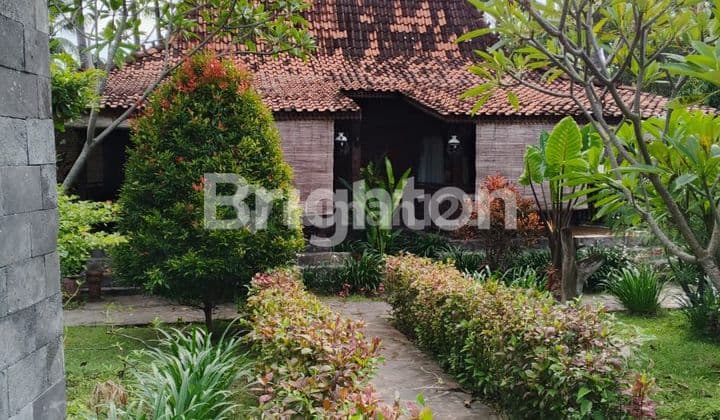 Tanah 1 hektar Pinggir Pantai Lombok berisi Villa Cantik