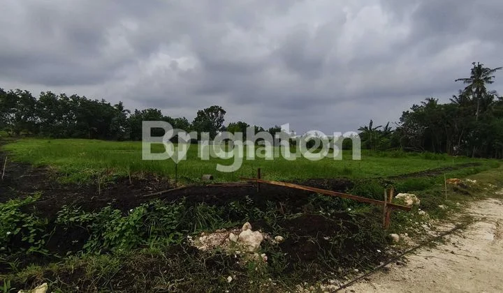 Tanah Kavling Super Cantik View Sawah dan Pantai di Belong, Tabanan