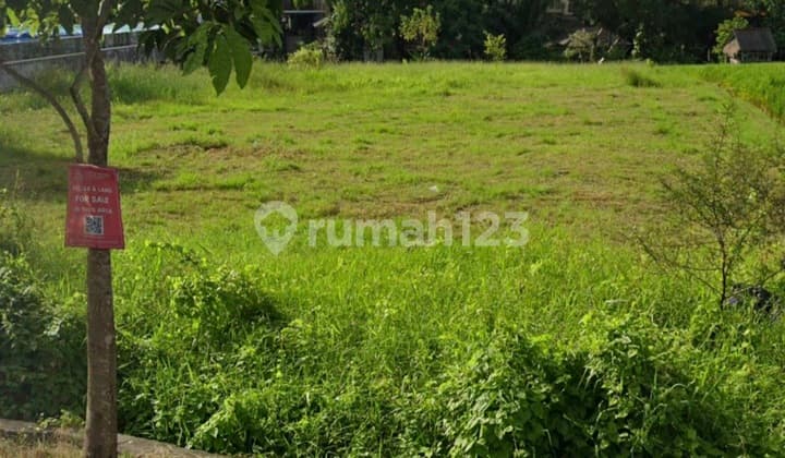 Tanah Sewa 21 Are Langka di Pinggir Jalan Padang Linjong Canggu