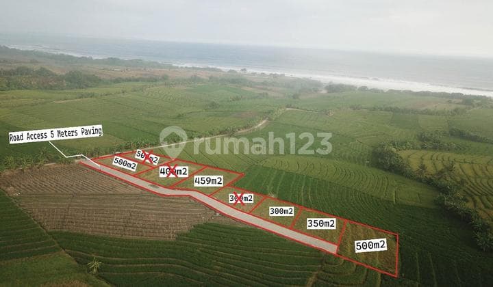 Tanah Kavling Eksklusif 500 M² Hanya 700 Meter ke Pantai Pasut