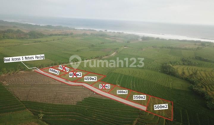 Tanah Kavling Eksklusif 500 M² Hanya 700 Meter ke Pantai Pasut