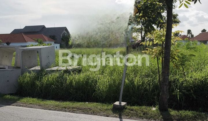 Tanah Sewa Luas jangka Panjang Di Pinggir Jalan Canggu