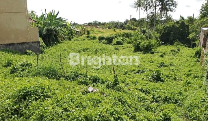 Tanah Luas Dan Langka Dengan Kontur Terrasering di Dalung, Canggu