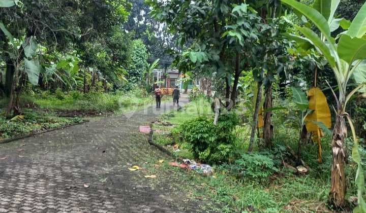 Tanah di Jakarta Timur, Ciracas, Kelapa Dua Wetan, SHM
