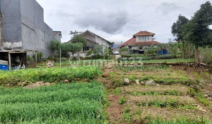 Tanah di Cianjur, Cipanas, Sukaresmi, SHM