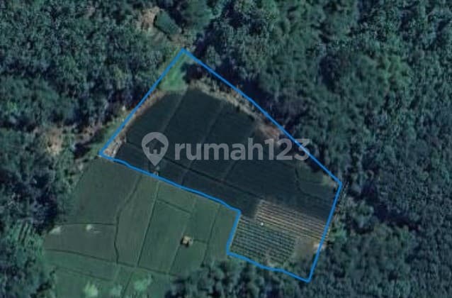 Tanah Sawah di Jawa Barat, Purwakarta, Desa Cilandak, SHM