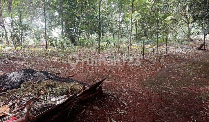 Tanah Lokasi Strategis di Cibubur Sertifikat SHM Akses Jalan Baru Cikeas