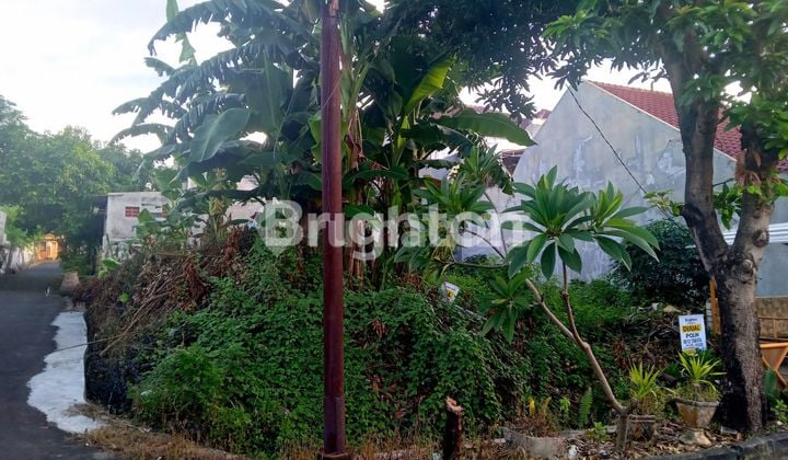 Tanah Kavling di Perumahan Puri Lidah Kulon Indah Surabaya Barat