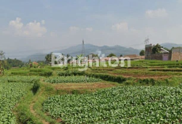 TANAH BANJARAN 1500 METER SHM DEKAT MANDALIKA BANJARAN