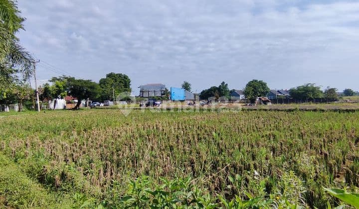 DIJUAL Sebidang tanah Kab. subang