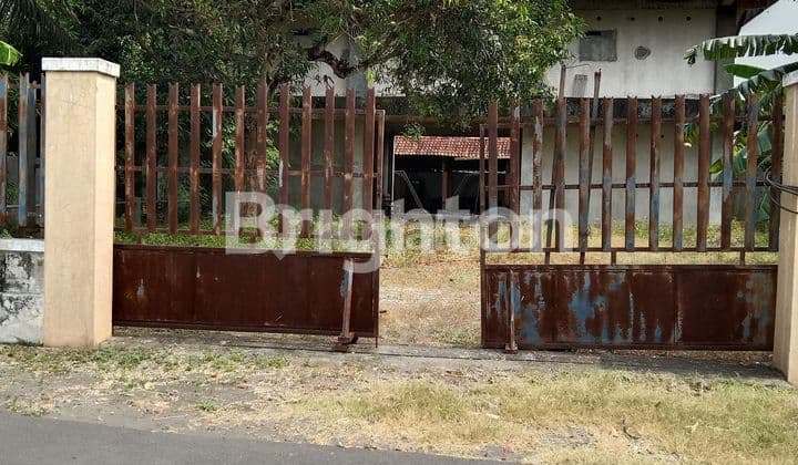 RUMAH SARANG WALET DAN SRITI DI WATES KULON PROGO