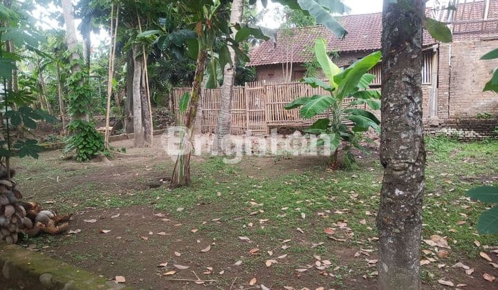 TANAH STRATEGIS DI JL GODEAN