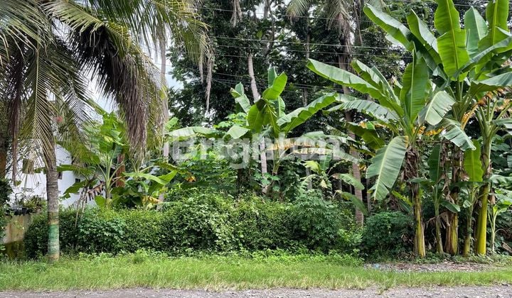 For Rent: Strategic Vacant Land by the Main Road in Pengasih, Kulon Progo
