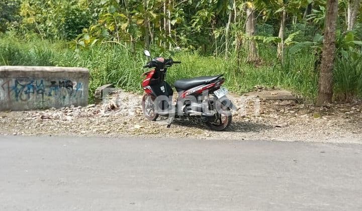 Tanah Strategis di Playen Gunungkidul - Pinggir Jalan Aspal!