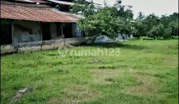 Tanah Siap Pakai Di Jepara