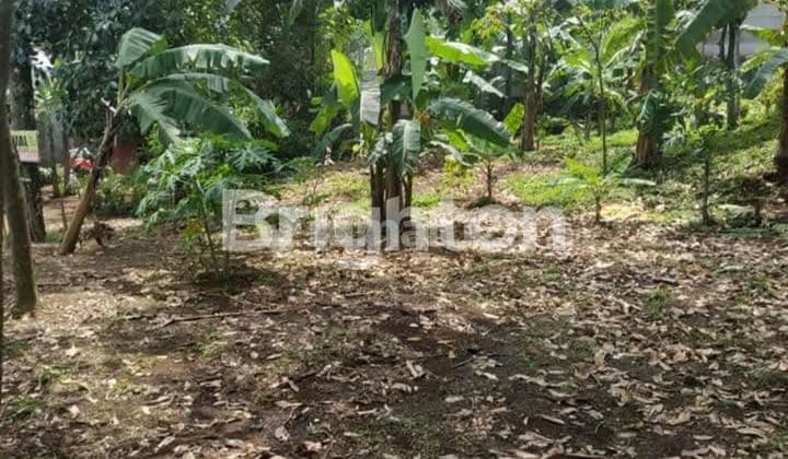 JUAL TANAH KEBUN LOKASI WISATA CIHIDENG