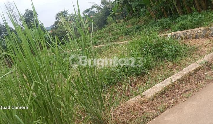 JUAL TANAH MURAH CEPAT LAKU DI PARUNG KEMANG BOGOR