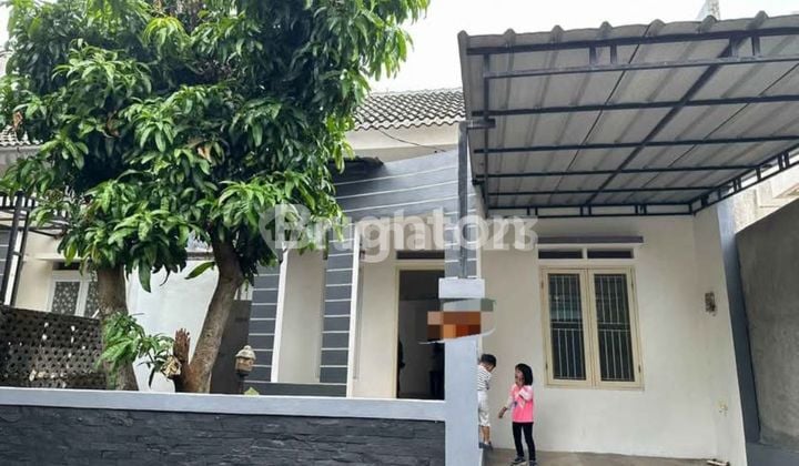 RUMAH SEWA MURAH DAN RAPIH LANSUNG HUNI LOKASI PAJAJARAN REGENCY