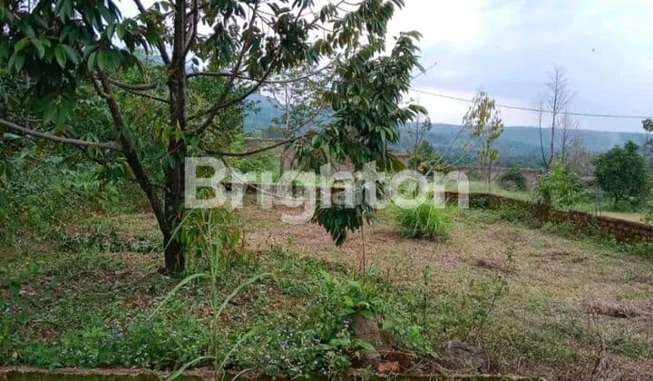 Tanah Kavling Jual Cepat Murah Cibadak Jonggol