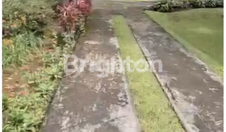 Villa di Puncak , dekat dengan Taman Safari