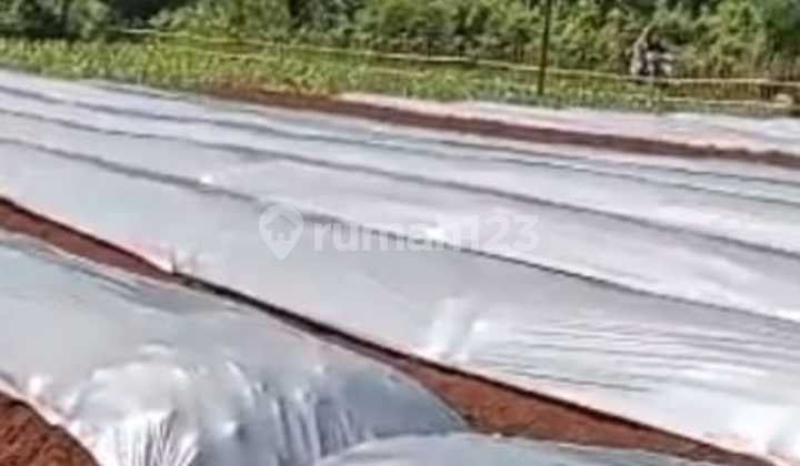 Dijual Tanah Darat Datar Mountain View Gunung Munara & Gunung Eusing